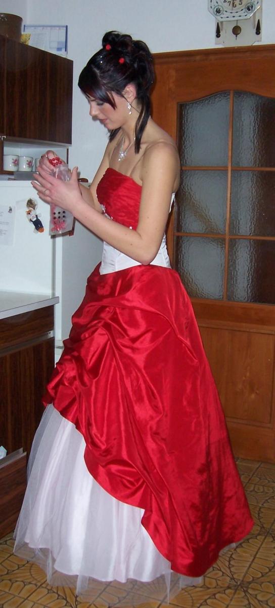 Model Image